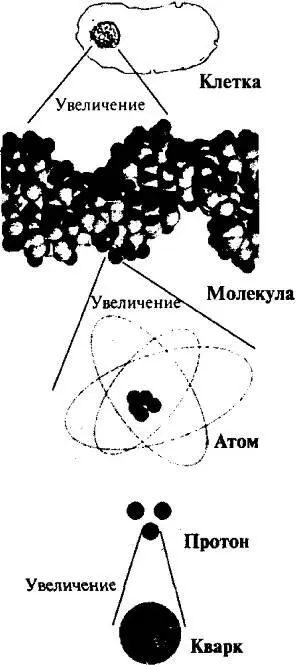 Рис 21 Кирпичики составляющие материю Прежде чем обратиться к непонятной - фото 7