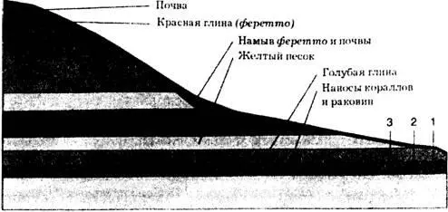 Рис 73 Холм КолледеВенто возле местечка Кастенедоло Италия в разрезе - фото 57