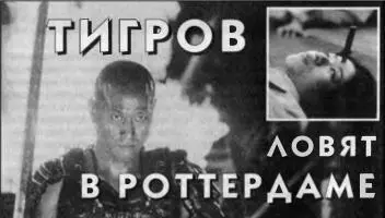 Роттердамский кинофестиваль или как его проще называют Роттерфест никогда - фото 7