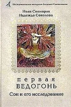 Александр Шевцов (Андреев, Саныч, Скоморох) - Первая Ведогонь