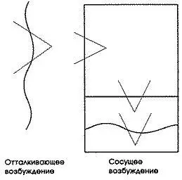 Отталкивающее возбуждение это опасность а сосущее голод Опасность - фото 1