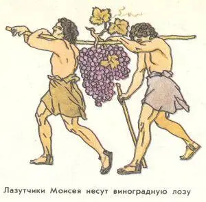 Через сорок дней лазутчики возвратились в лагерь и показали Моисею Аарону и - фото 47