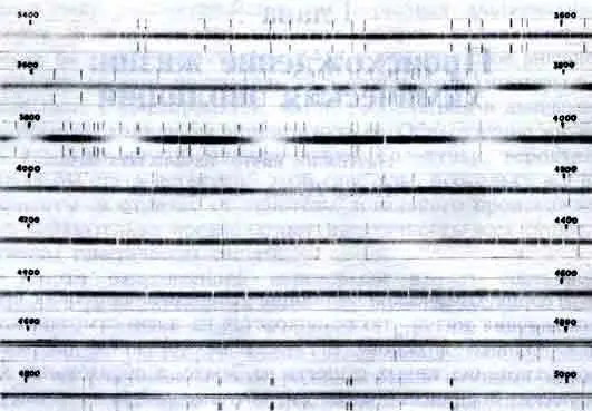 Рис 6 Линии водорода в спектре яркой звезды Сириус Этот спектр звезды белые - фото 6