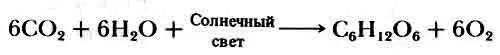 где С 6Н 12O 6 углевод глюкоза Другим менее существенным источником - фото 15