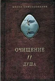 Александр Шевцов (Андреев, Саныч, Скоморох) - Очищение. Том.2. Душа