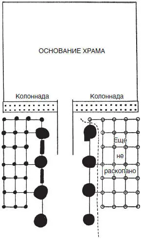 Рис 25 Обнаруженные при раскопках остатки рощи при храме XI династии в - фото 27