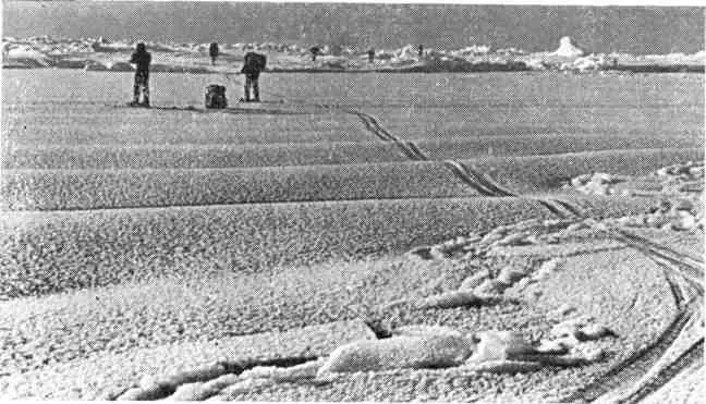 Чуть сошлись берега разводья и сжался синусоидой молодой лед Надежны - фото 139