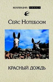 Сейс Нотебоом - Красный дождь