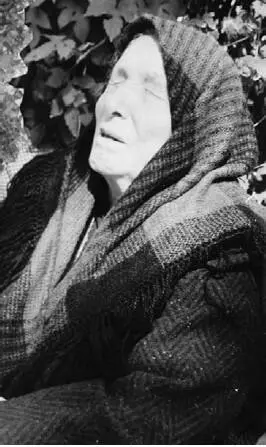 В 1967 году Вангелия Димитрова получила статус официального болгарского - фото 73