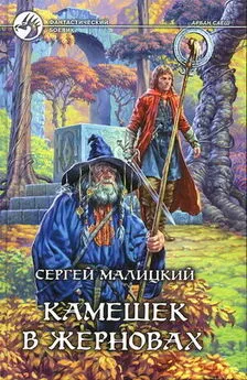 Сергей Малицкий - Камешек в жерновах