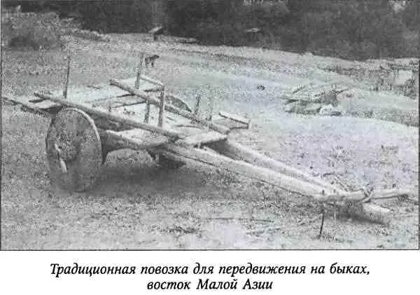 Характер сева и уборки урожая а также сезонных работ зависел от условий - фото 30