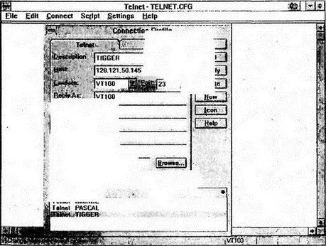 Рис 131Приложение telnet для настольной системы Chameleon 133 Обращение - фото 157