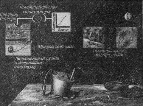 Рис 5 Поиски жизни вне Земли Совершив мягкую посадку на Марс и другие - фото 12