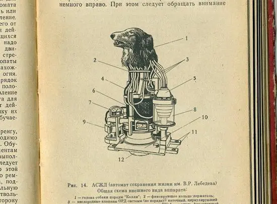 Автомат сохранения жизни имени таинственного Лебедева Фамилия создателя - фото 4