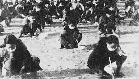108 Отряд китайских бонификаторов собирает зараженных насекомых ошибочно - фото 107