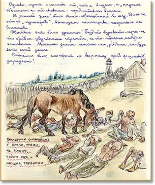 Когда было тепло они сбрасывали рубахи а иногда и штаны и тогда являли собой - фото 69