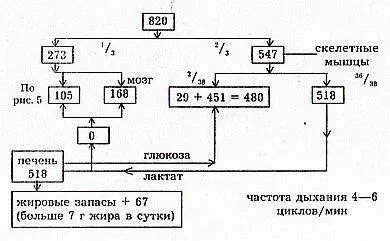 Рис 6 Схема суточного распределения энергии в организме вегетарианца Схема - фото 6