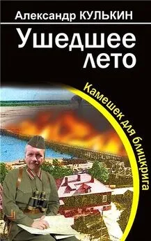 Александр Кулькин - Ушедшее лето. Камешек для блицкрига