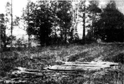 Мостик созданный чекистами в июле 1918 года около разъезда 120 и - фото 11