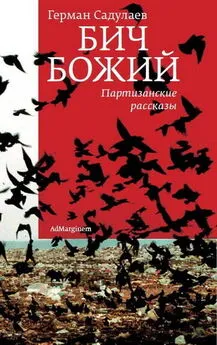 Герман Садулаев - Бич Божий: Партизанские рассказы