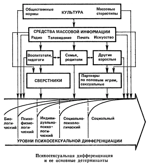 Большинство современных культур маскулинно ориентировано Дж Ганьон - фото 5