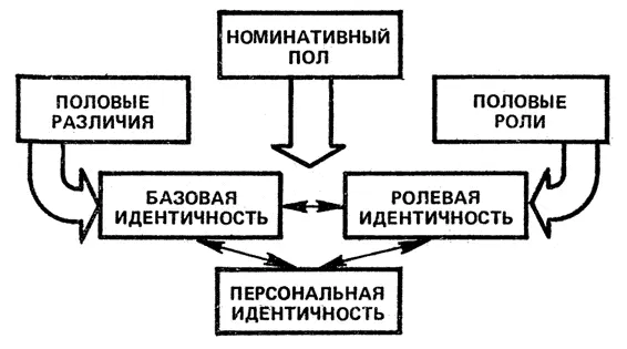 Для формирования половой идентичности усложняющиеся средовые детерминанты - фото 6
