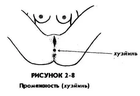 3 ЦИКЛ РЕАГИРОВАНИЯ НА СЕКСУАЛЬНОЕ СТИМУЛИРОВАНИЕ Сексологами Мастерсом и - фото 15