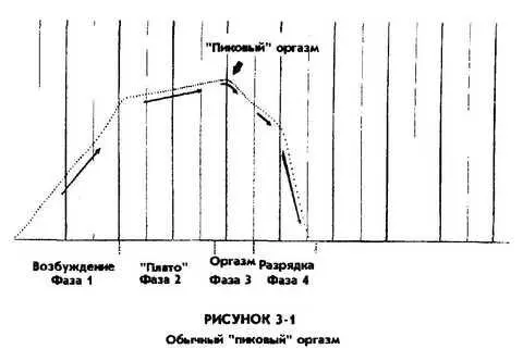 А КЛИТОРНЫЙ И ВЛАГАЛИЩНЫЙ ОРГАЗМЫ Многие сексологи и другие люди понимают под - фото 16