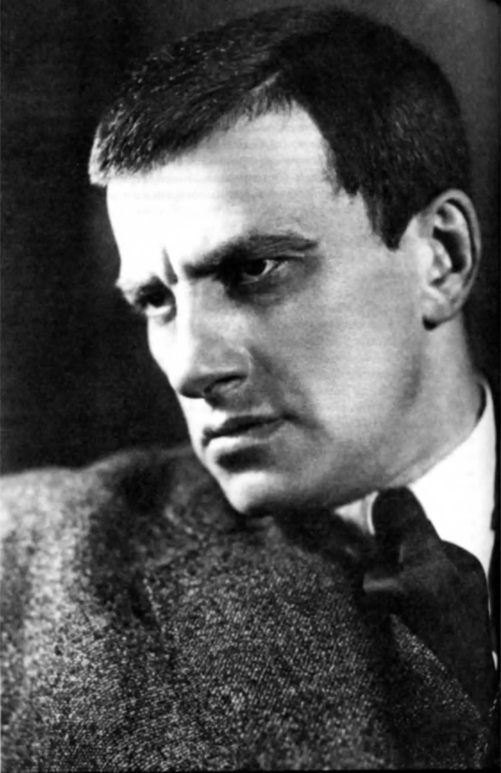 Маяковский Фото А Теремина 1929 г Поездка на государственный счет В тот - фото 164