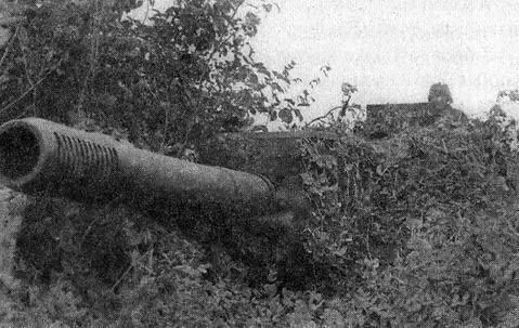 Замаскированный Зверобой За рекой танковая армия обретает оперативный - фото 27