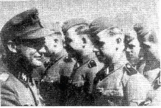 15а Внизу начальник пропаганды войск СС Гюнтер дАлькен убедившей Гиммлера - фото 29
