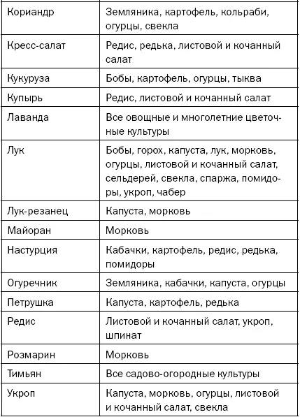 Сидераты Их не случайно называют зеленым удобрением Это виды которые - фото 14