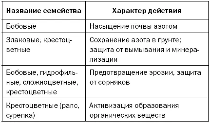Выращивание сидератов Сидераты относятся к группе растений которые не требуют - фото 17