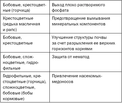 Выращивание сидератов Сидераты относятся к группе растений которые не требуют - фото 18