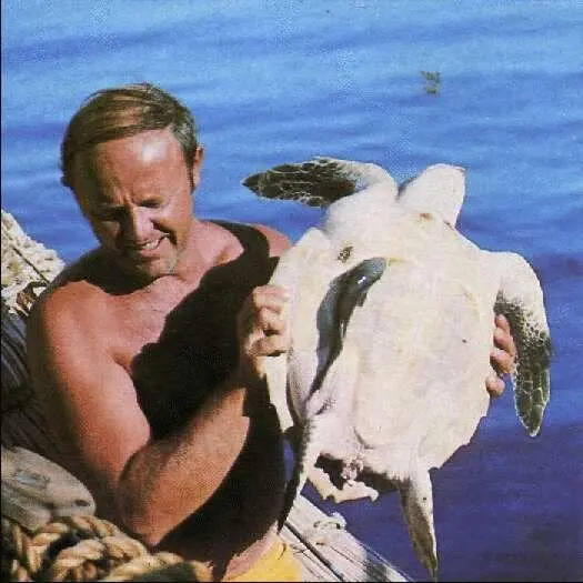 Фотографирование на память с морской черепахой Потом ее снова выпустят в море - фото 194