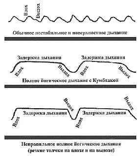 7 Во время задержки дыхания все процессы происходящие в организме как бы - фото 4