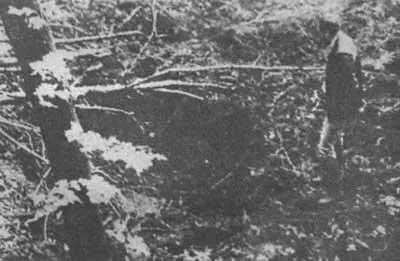 Рис 44 Директор Харьковской астрономической обсерватории ВА Захожай - фото 45
