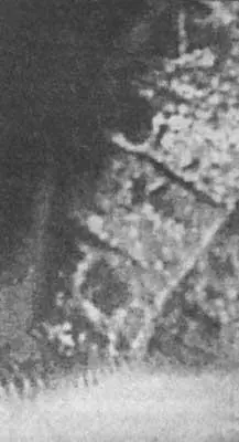Рис 48 Кандидаты в археологические объекты Марса четырехугольные детали на - фото 51