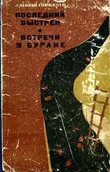 Алексей Горбачев - Последний выстрел. Встречи в Буране