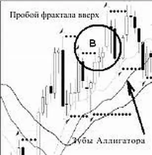 Зубы Аллигатора Запрещенопокупать если фрактал находится ниже зубов - фото 11