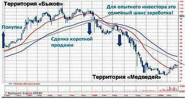 Цены акций не только растут но и падают Источник Биржа ММВБ Медведи - фото 23