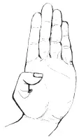 1 Ладонь чжан Четыре пальца прижаты друг к другу и направлены вверх ребро - фото 7