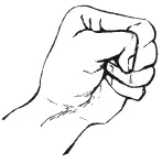 2 Кулак 1 цюань Пальцы плотно прижаты друг к другу и собраны вовнутрь - фото 8