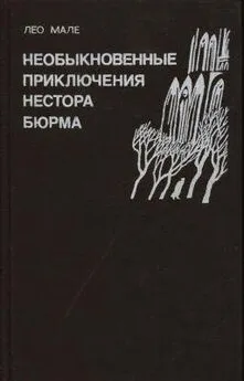 Лео Мале - Туман на мосту Тольбиак