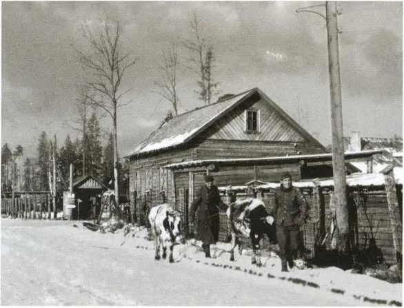 Мародеры Крестьянки на рынке в Орле Рынок в Пскове 1942 г - фото 63