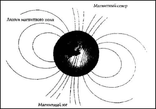 Рис 30 Магнитные поля Земли Помня об этом нам было бы полезно приступить к - фото 33