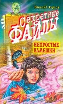 Василий Акулов - Непростые камешки