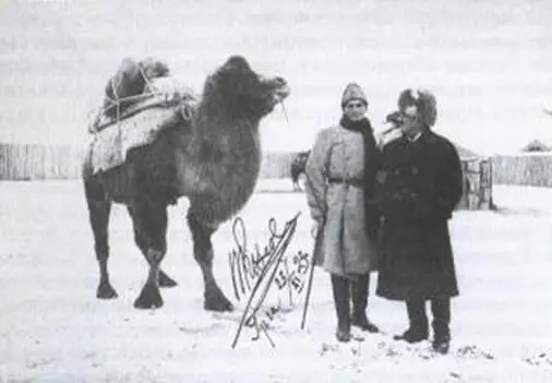Хедин с Петром Козловым Урга 1923 год Они проговорили четыре часа о планах - фото 22