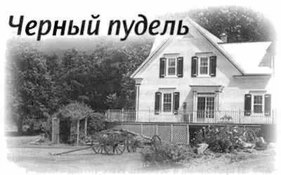 Казалось бы что интересного и важного может произойти на освящении квартиры - фото 157