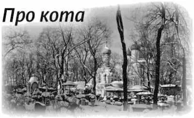 Что и говорить любят у нас обсудить и покритиковать священников Поэтому для - фото 217